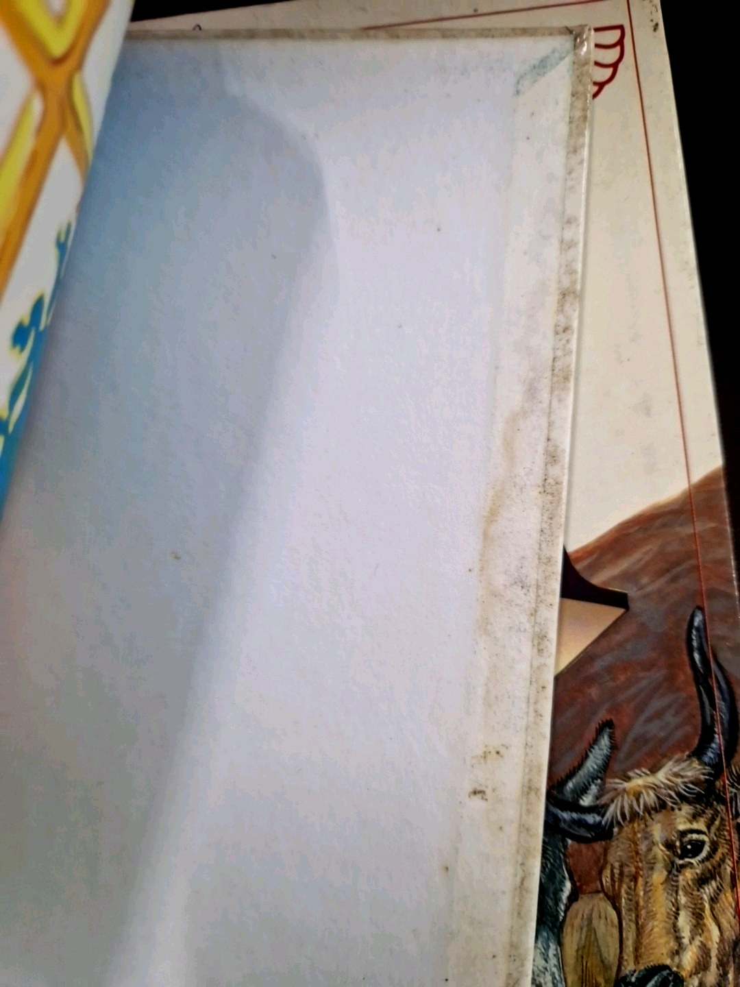 Image #14