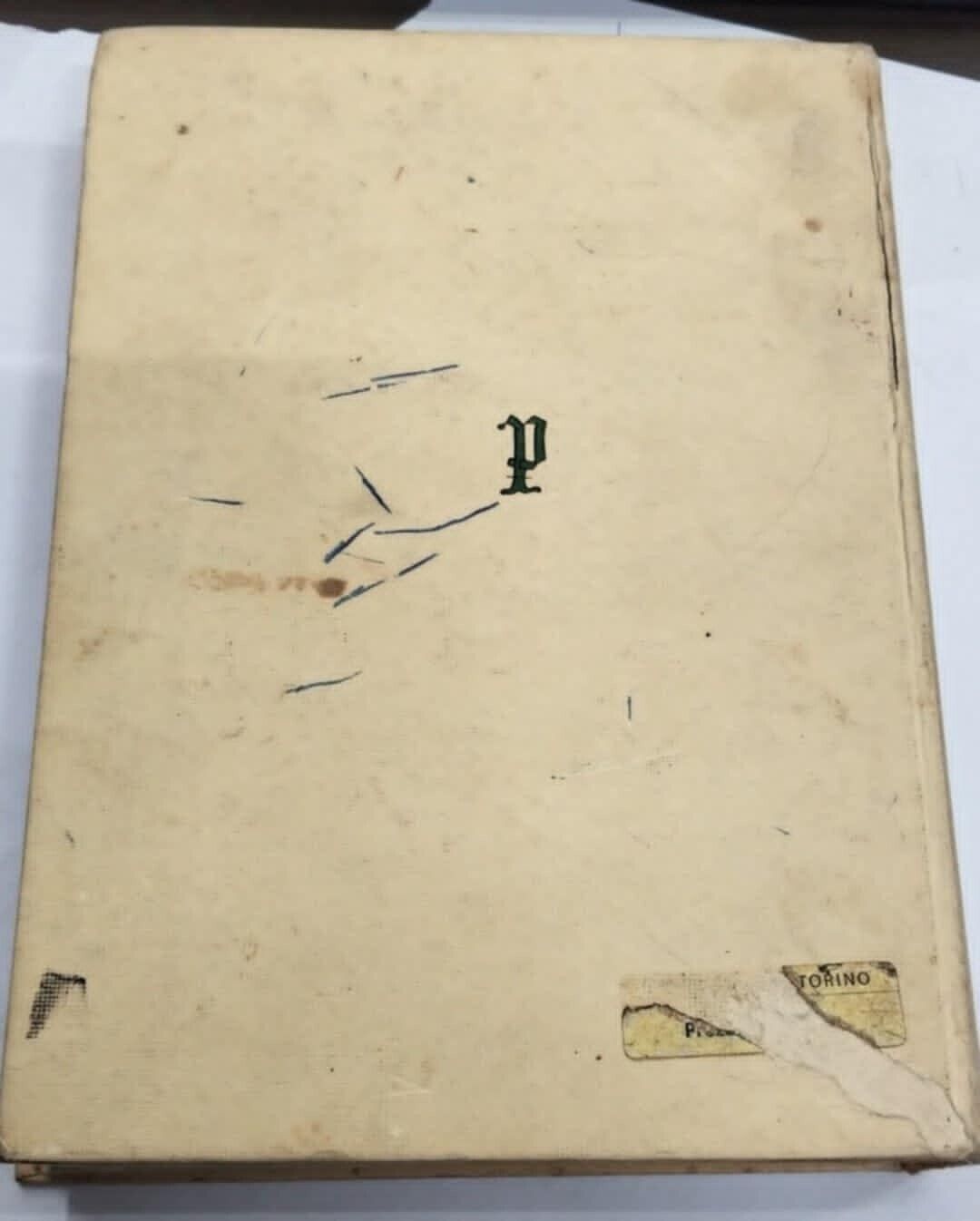 Image #3